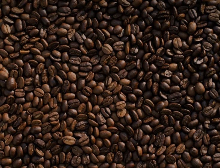 커피 찌꺼기 (Coffee Grounds)