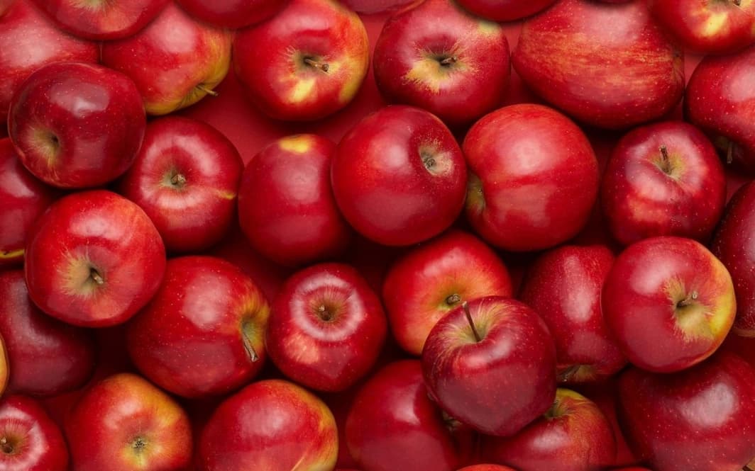 사과 껍질 (Apple Peel)